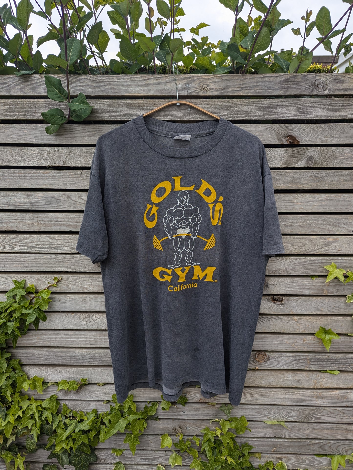 Gold gym faded black