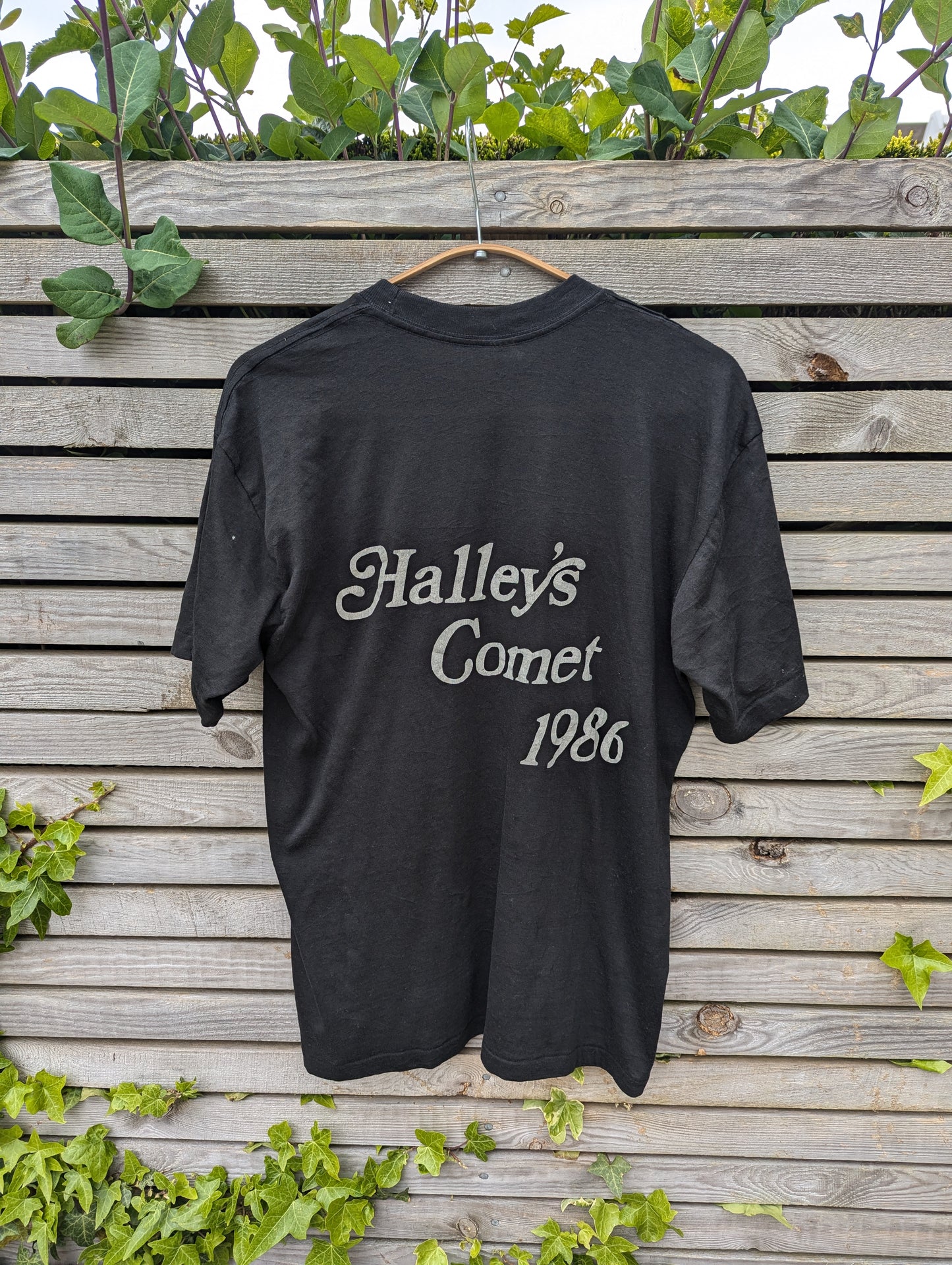 Haleys comet 1986